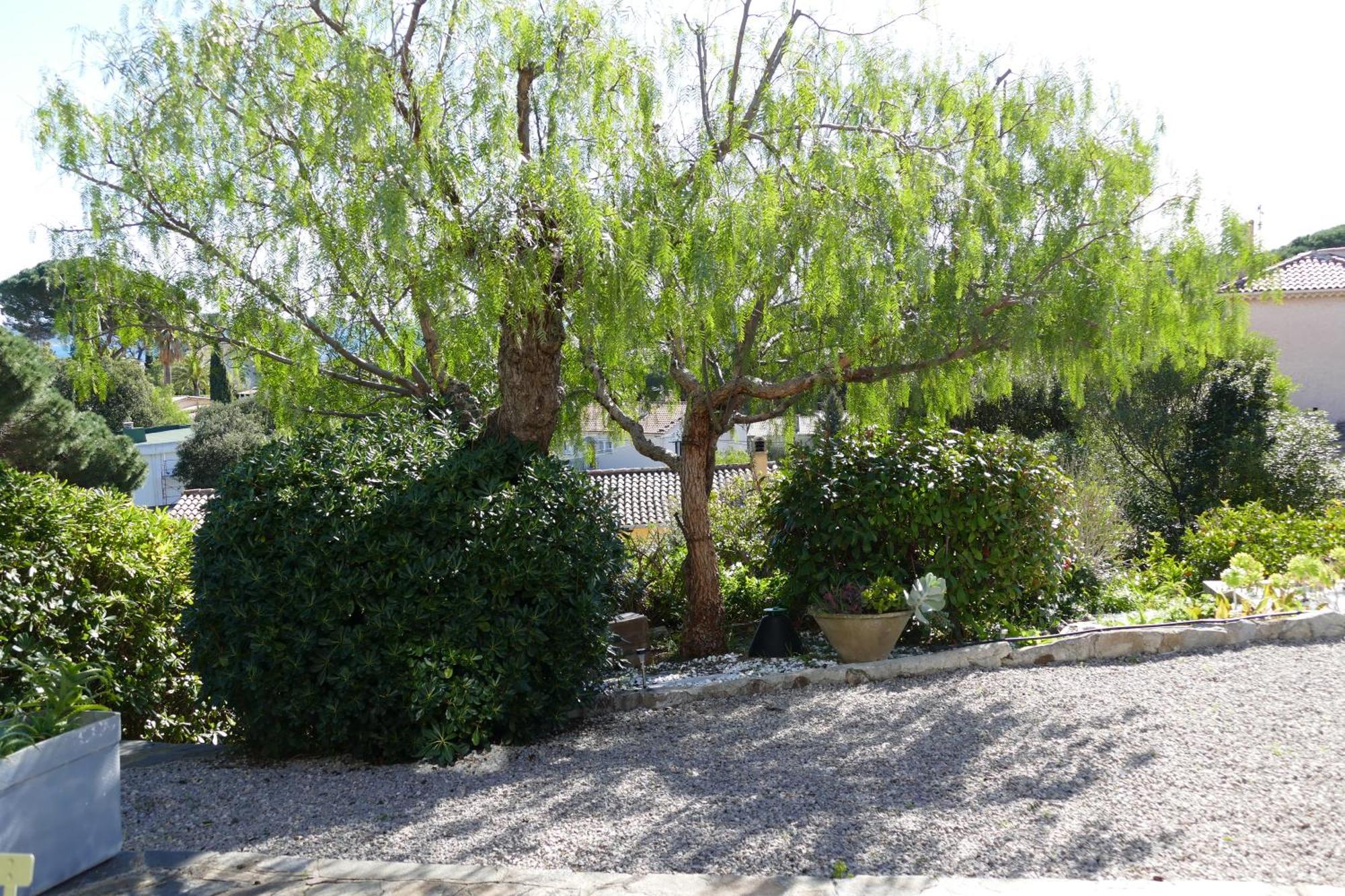 Villa Heliomar Cavalaire-sur-Mer Εξωτερικό φωτογραφία